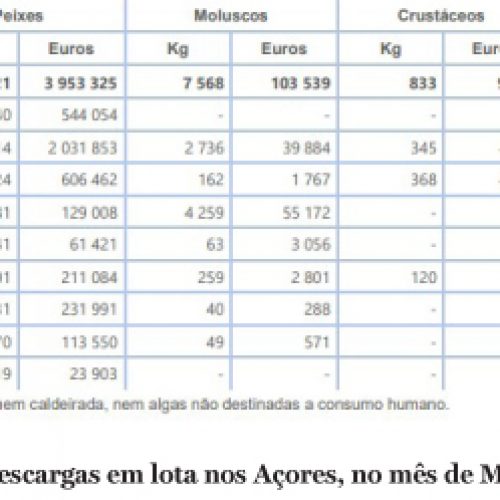Foram descarregados em lota 1 048,61 toneladas de pescado no mês de Maio