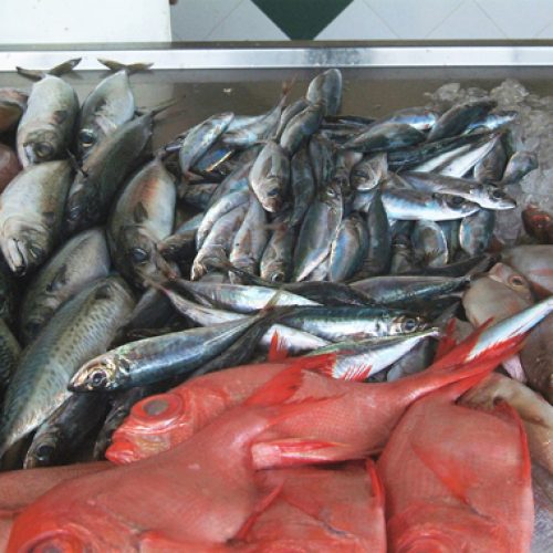 ????????????????????????????????????????????????????????????????????????????????????????????????????????????????????????????????????????????????????????????????????????????????????????????????????????????????????????????????????????????????????????